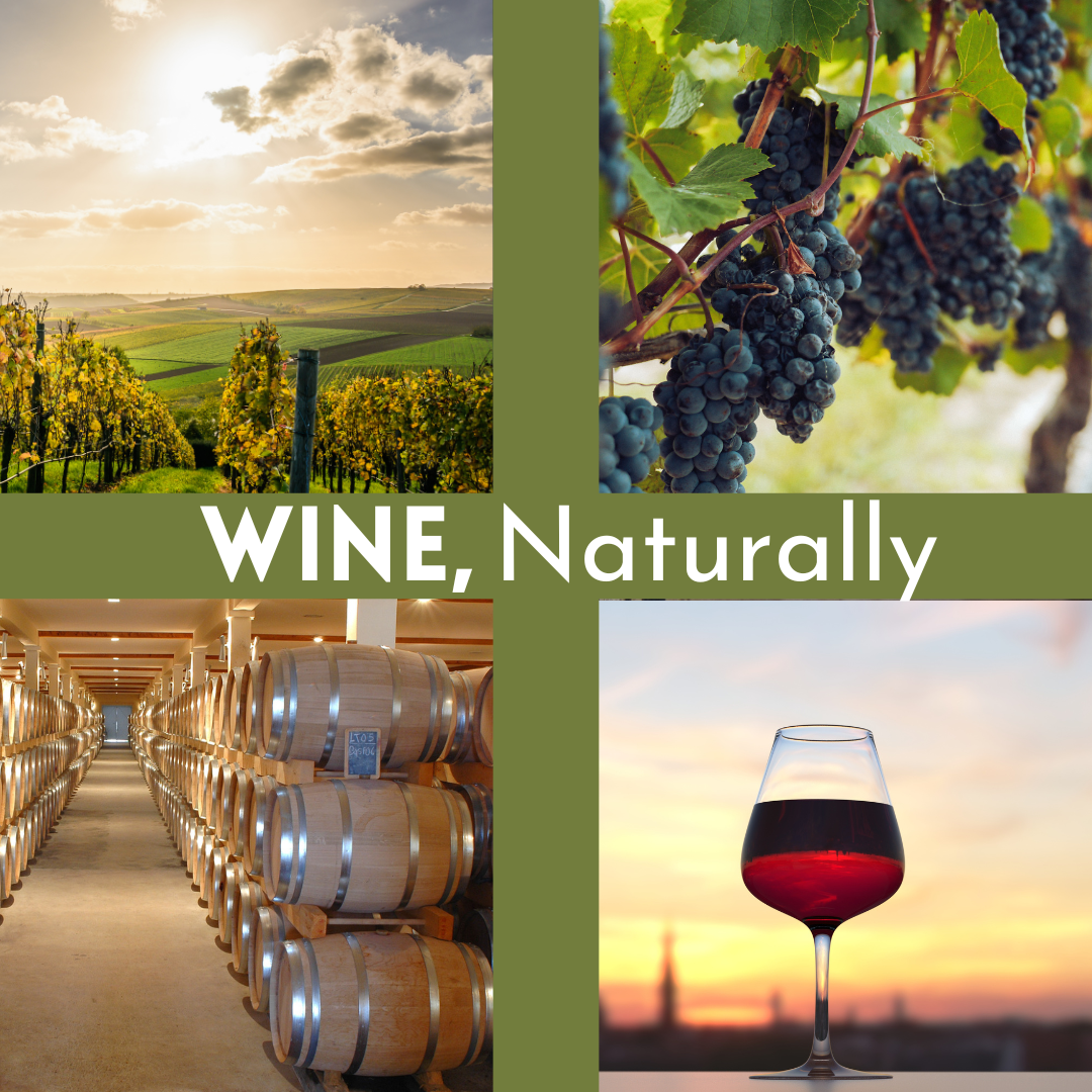 a series of four images: a vineyard in the sunshine, bunches of grapes, barrels in a cellar and wine in a glass. Text is overlaid that reads Wine, Naturally.