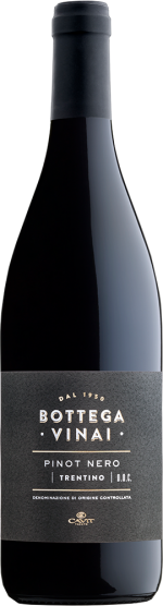 Bottega Vinai Pinot Nero Trentino DOC